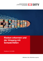 Risiken erkennen und der Umgang mit Schadenf&auml;llen